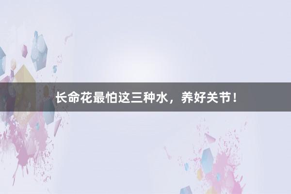 长命花最怕这三种水，养好关节！