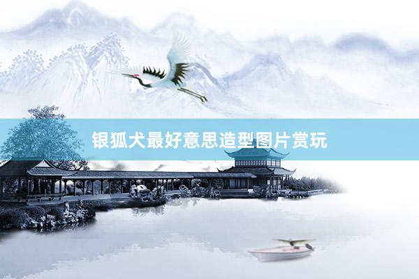 银狐犬最好意思造型图片赏玩